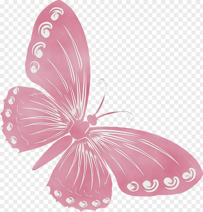 Wing Insect Watercolor Butterfly Background PNG