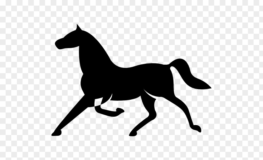 Horse Run Trot Arabian Equestrian Jockey PNG