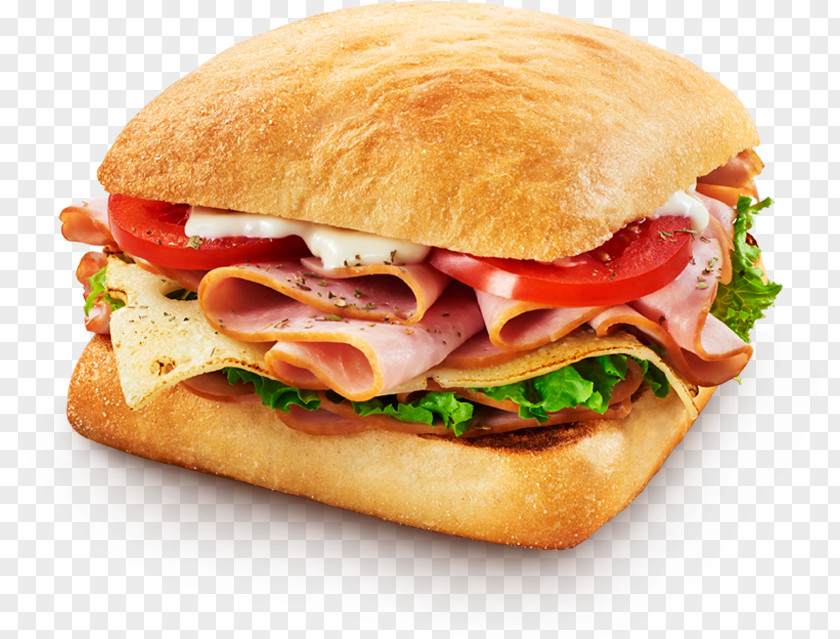 Sandwich Submarine Ham And Cheese Ciabatta Tuna Fish Melt PNG