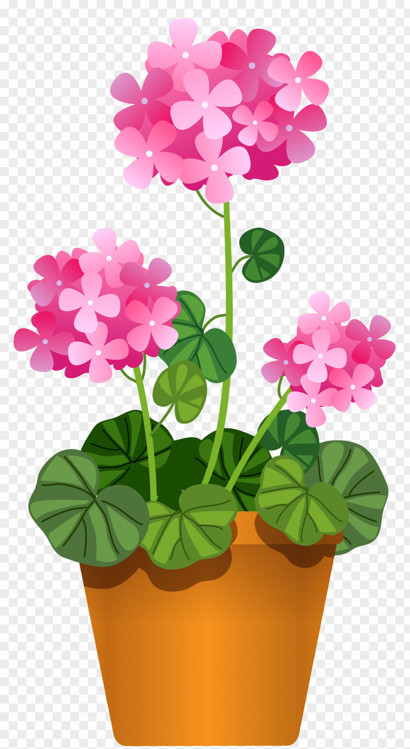 Flower Clip Art: Transportation Vector Graphics Illustration Flowering Pot Plants PNG