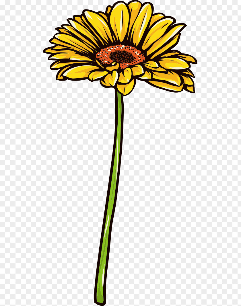 Gerbera Kumogahata 北山 Kamo River Cut Flowers PNG