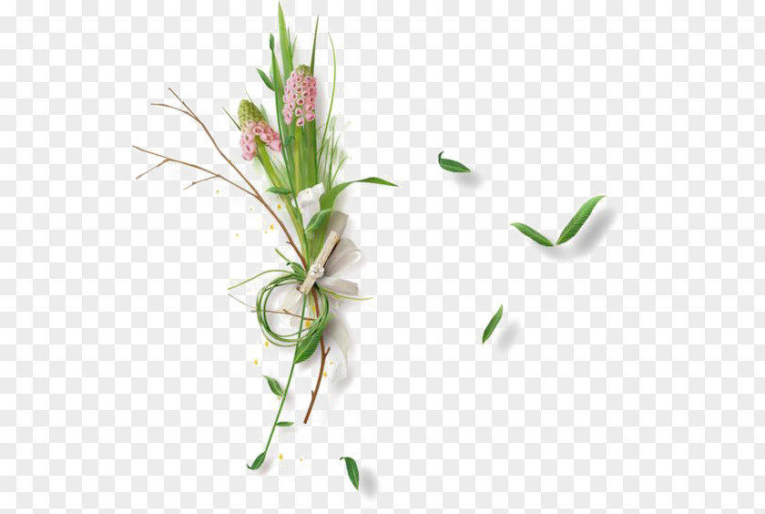 Green Grass Shelf PNG