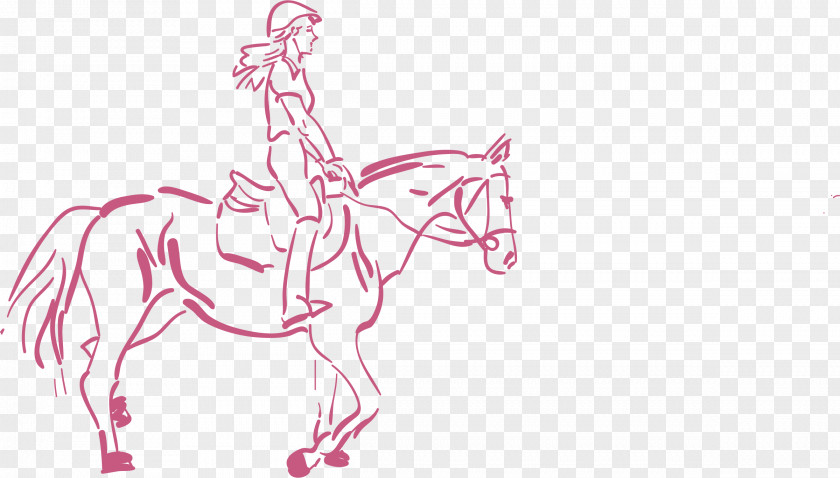 Horse Equestrian Clip Art PNG