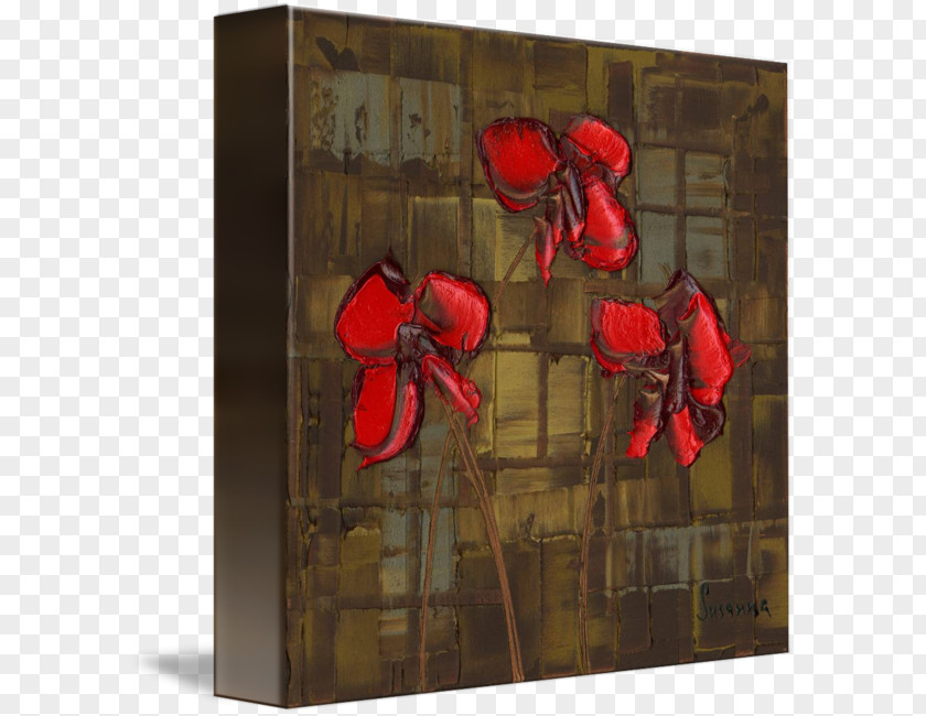 Red Poppy Picture Frames Rectangle PNG