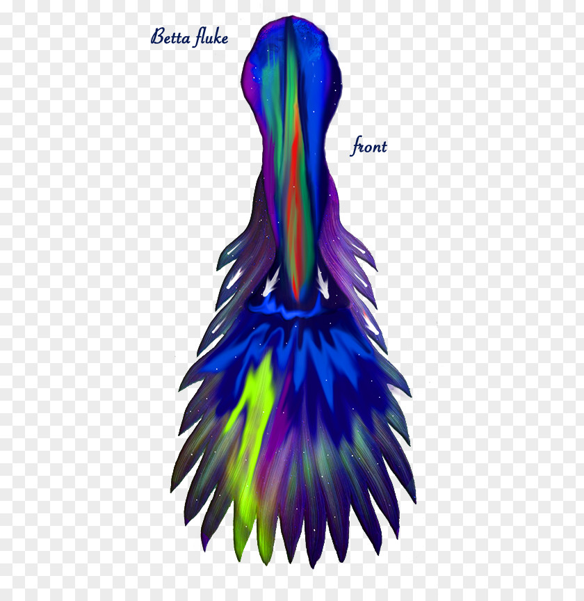 Aurora Boreal Costume Design Feather Beak Dance PNG