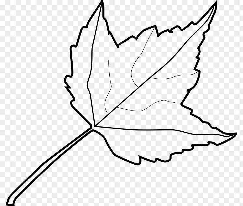 Autumn Wreath Color Leaf Drawing Clip Art PNG