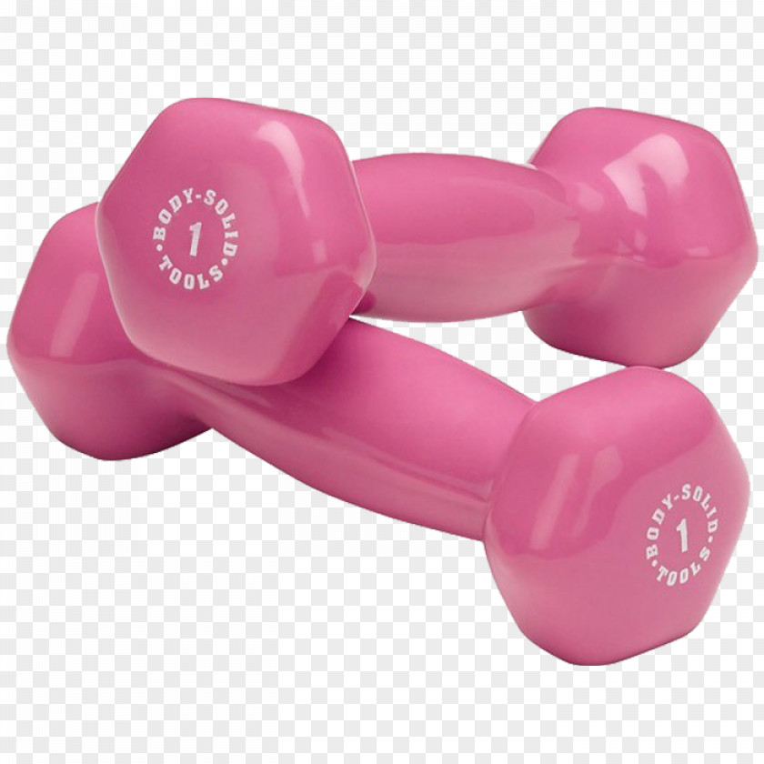 Dumbbell Weight Training Pound Barbell Physical Exercise PNG