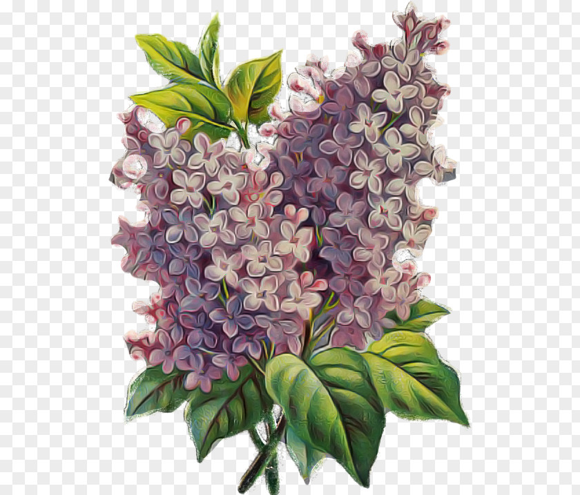 Flower Lilac Plant PNG