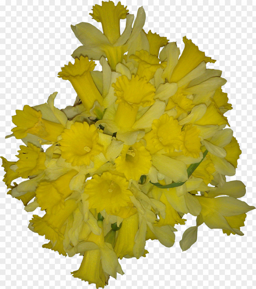 Flower Yellow Cut Flowers Petal Wedding Bouquet PNG