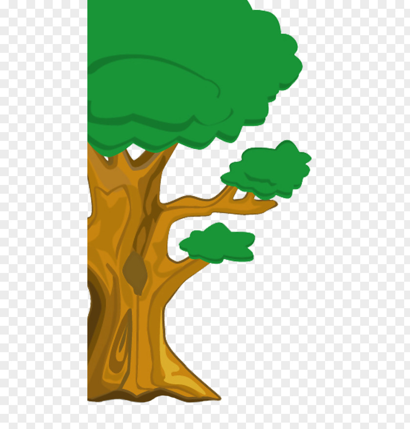 Outdoor Accessories Illustration Tree Design Image PNG