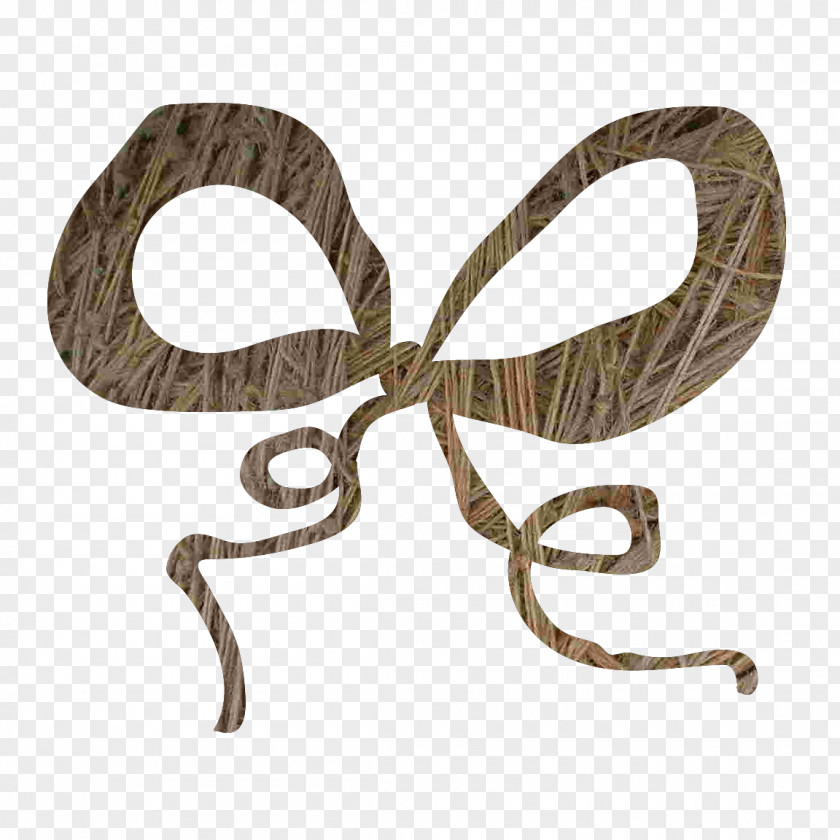 Twine Bow Reptile PNG