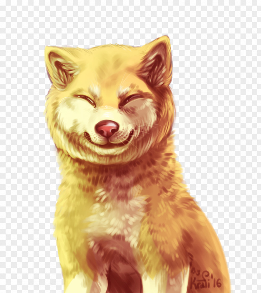 Akita Inu Whiskers Dog Red Fox Cat Snout PNG