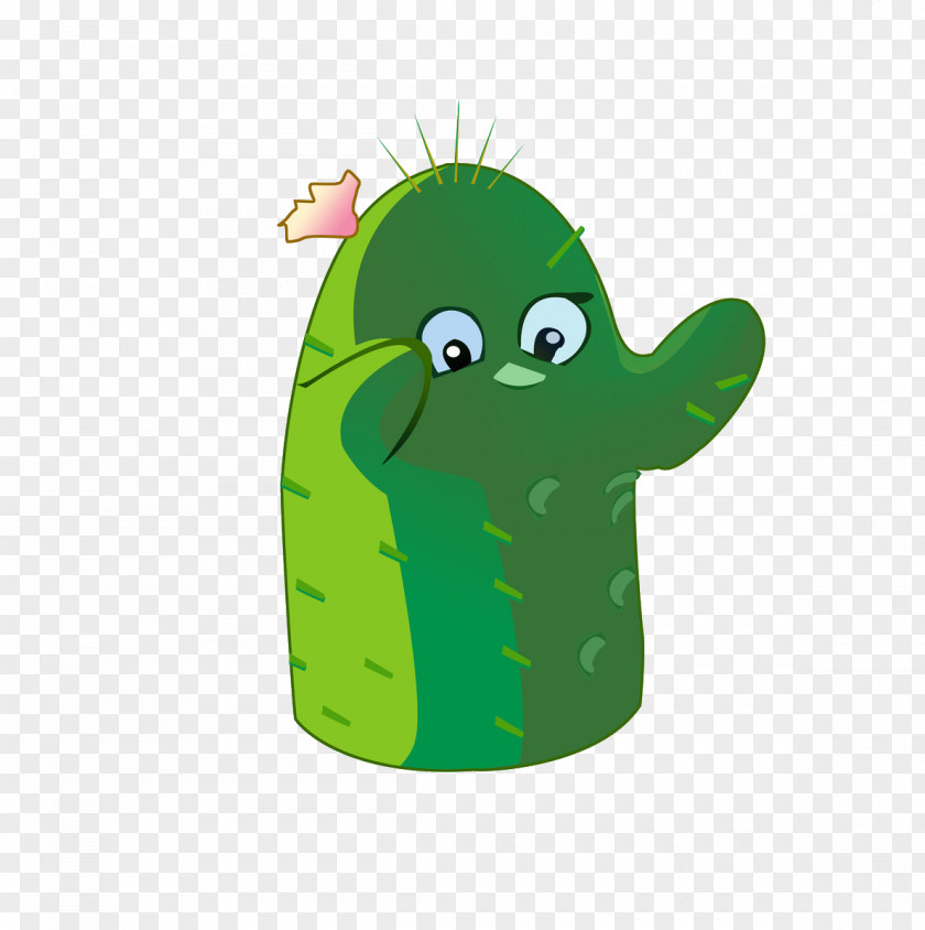 Cartoon Cactus Cactaceae Illustration PNG