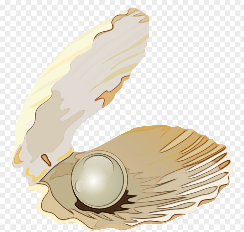 Pearl Natural Material Feather PNG