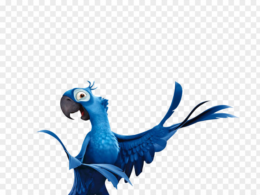 Rio De Janeiro Jewel Parrot Blu Bird PNG