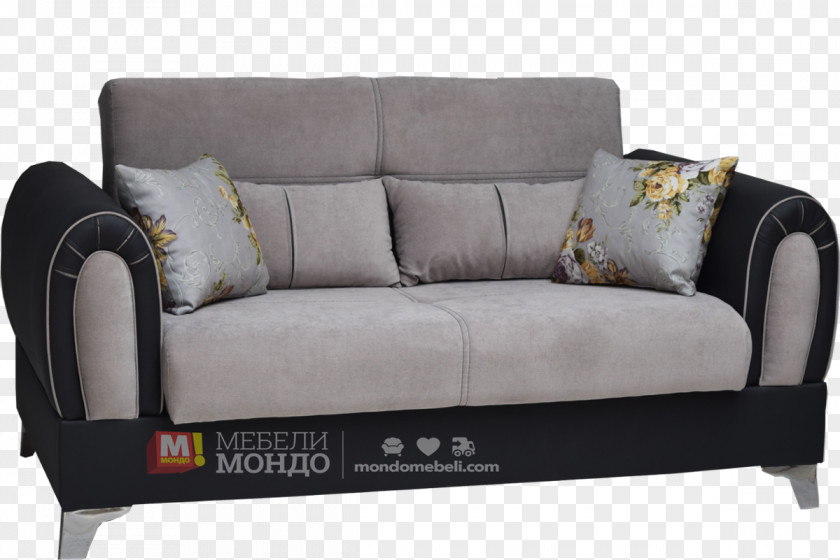Siva Loveseat Sofa Bed Couch PNG