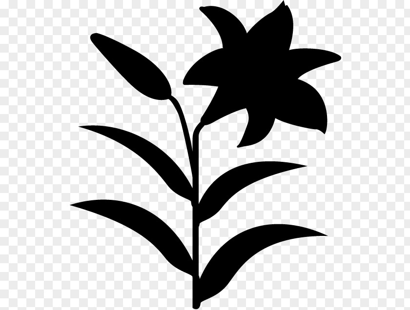 Clip Art Flower Plant Stem Leaf Pattern PNG