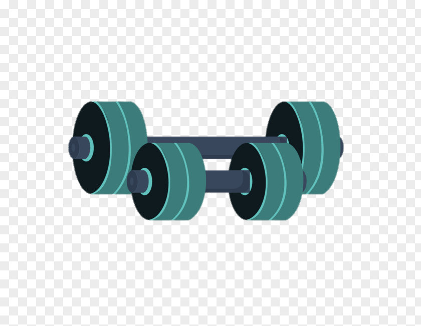 Dumbbell Exercise Equipment Physical Fitness Barbell PNG