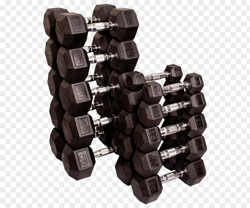 Dumbbell Weight Training Barbell Fitness Centre PNG