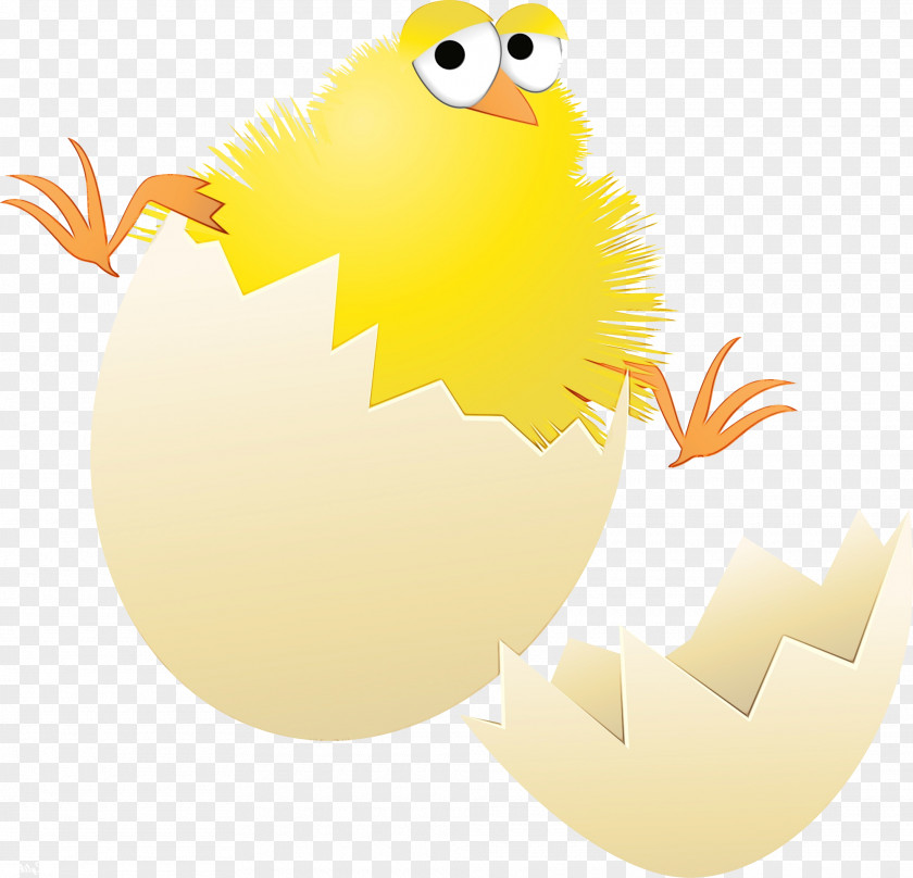 Egg PNG