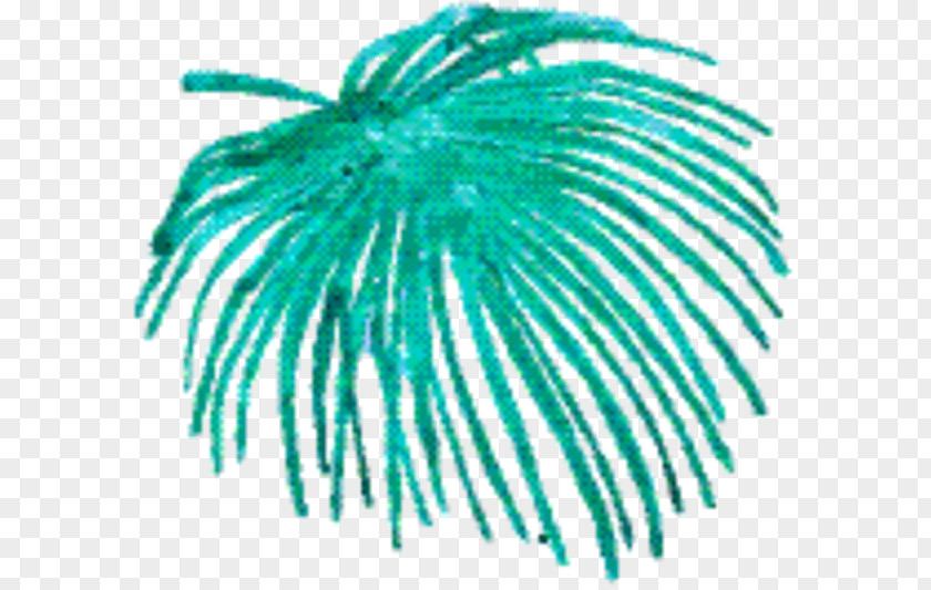 Feather Plant Green Background PNG