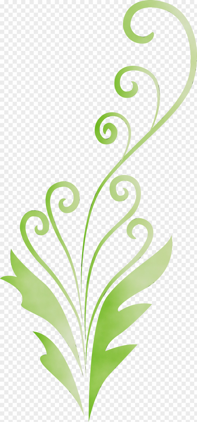 Green Leaf Plant Pedicel Stem PNG