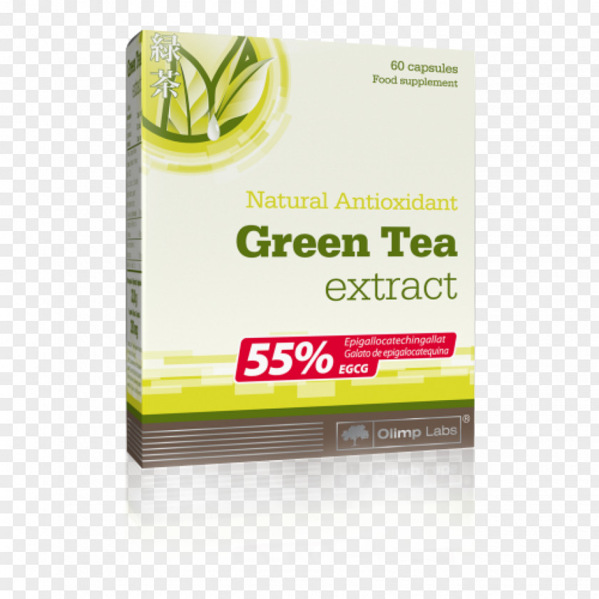 Green Tea Epigallocatechin Gallate Plant Extract PNG