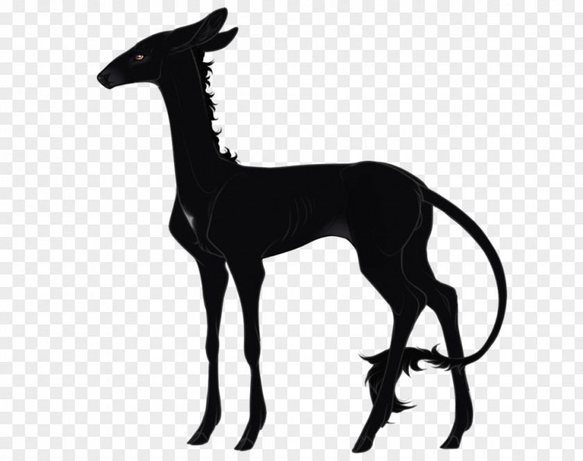 Mustang Italian Greyhound Giraffe Black PNG