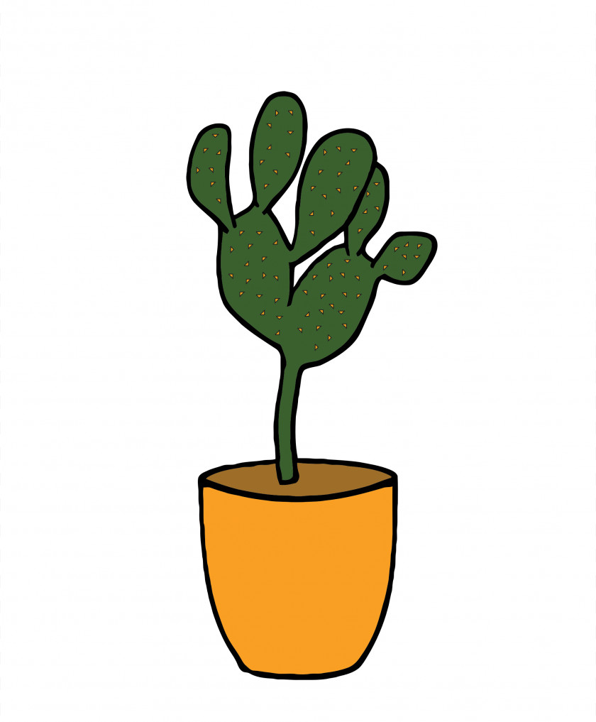 Cactus Houseplant Flowering Plant Clip Art PNG