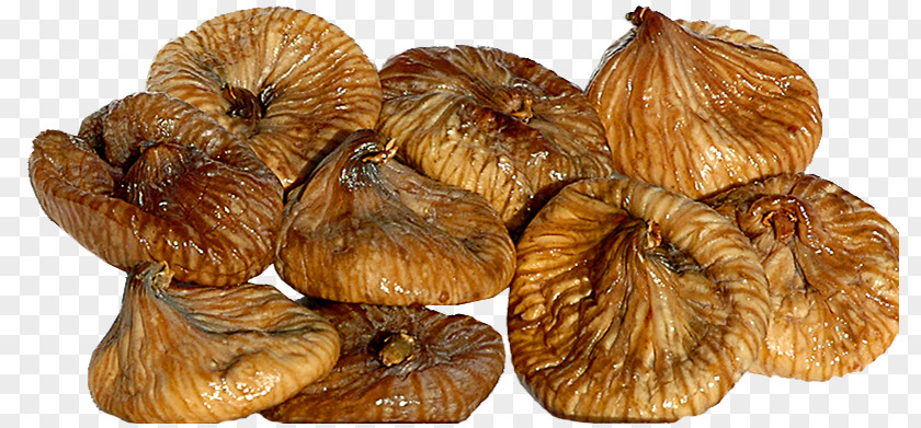 Dry Fig Common Food Drying Dried Fruit Sycamore Wasp PNG