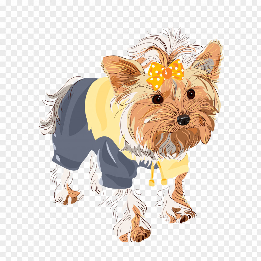 Fashion Dog Download Yorkshire Terrier Boston Black Russian Shih Tzu Puppy PNG