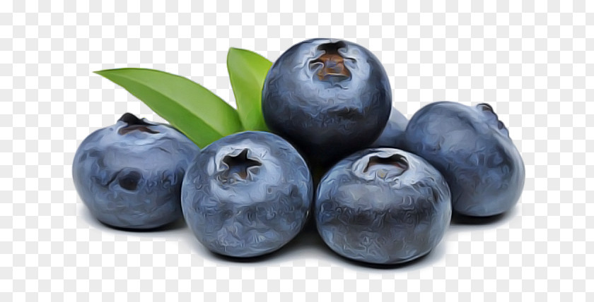 Fruit European Plum Berry Superfood Bilberry PNG
