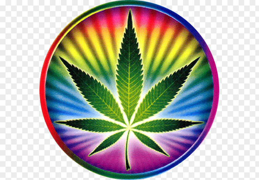 Cannabis Medical Psychedelic Drug Sticker Decal PNG