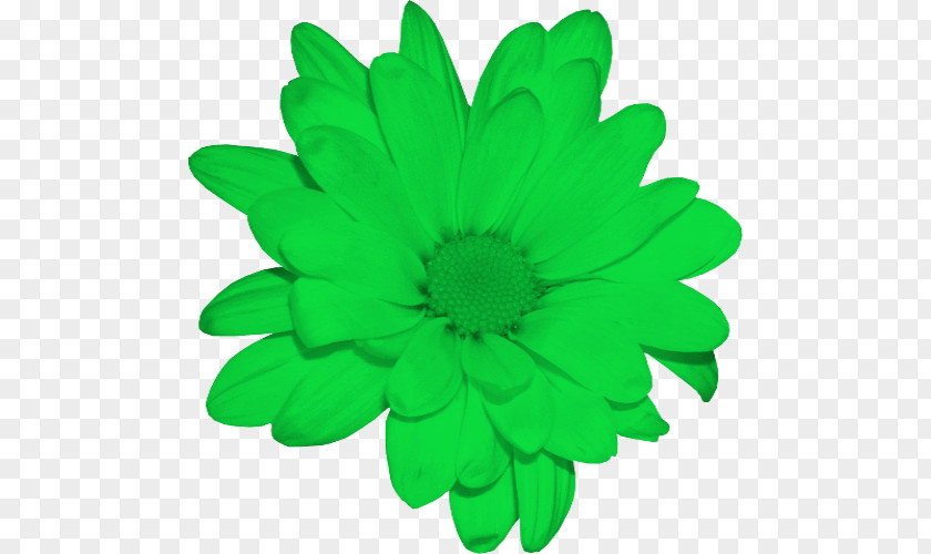 Fleur Verte Stock Photography Chrysanthemum DeviantArt Clip Art PNG