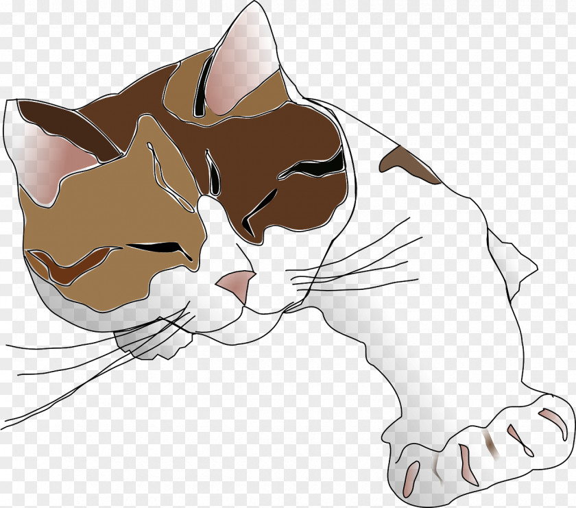 Lazy Cat Persian Siamese Kitten Tiger Clip Art PNG