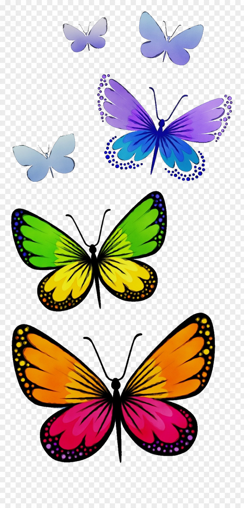 Moths And Butterflies Butterfly Insect Pollinator Wing PNG