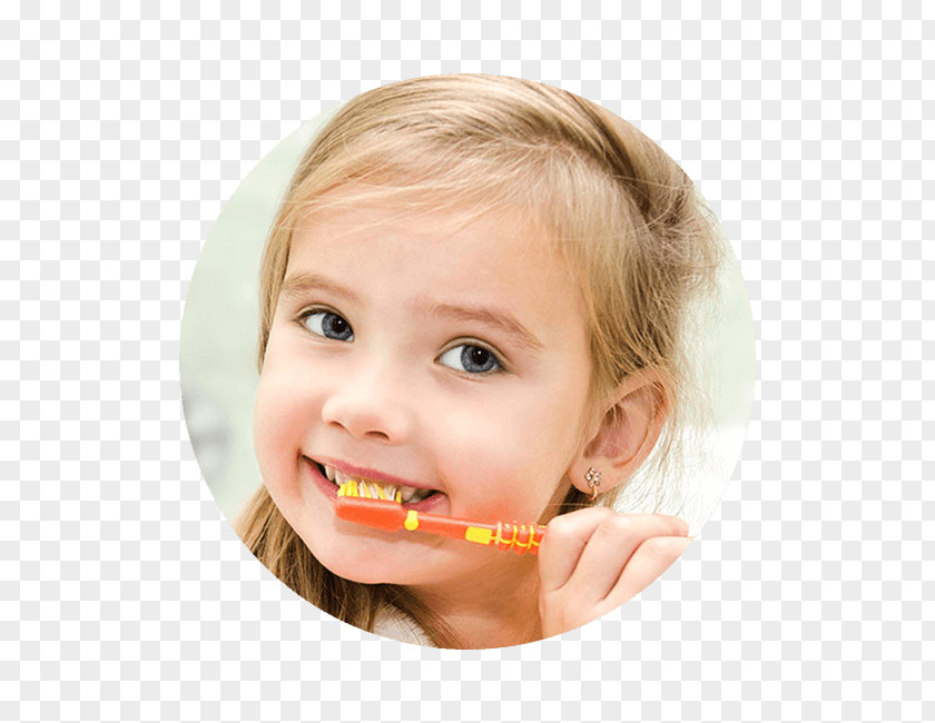 Pediatric Dentistry Health Insurance PNG