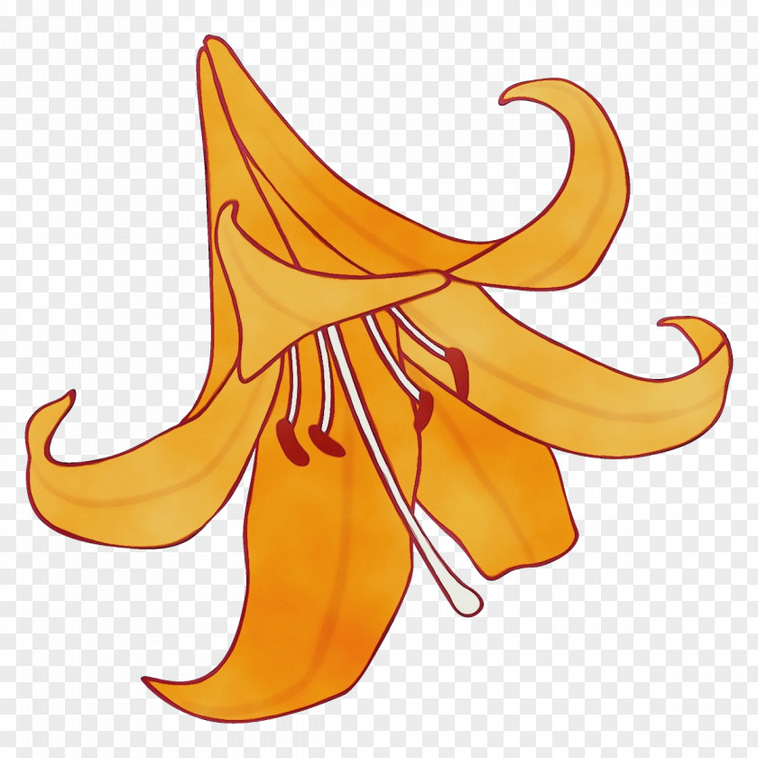 Plant Yellow Canada Lily Clip Art PNG