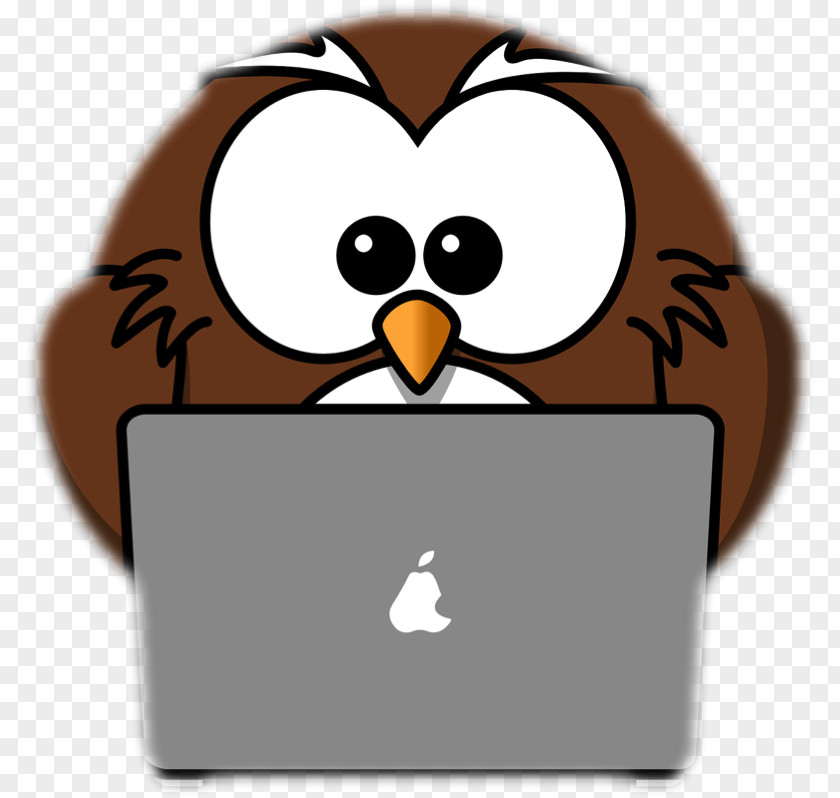 Save Hundreds In Your Tax Bill Owl Cartoon Clip Art PNG