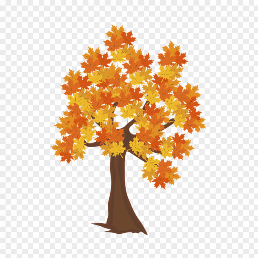 Autumn Clip Art Leaf Color Image Fall Tree PNG