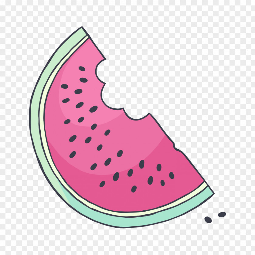 Creative Watermelon Illustrator PNG