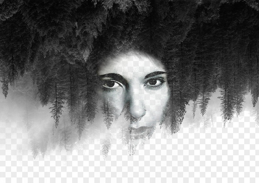 Facial Hair Illustration Creative Background Trees Photography James VIII Song I Couldve Helped PNG