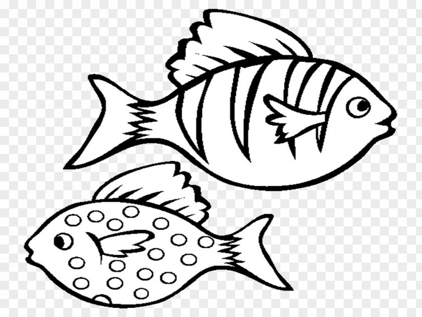 Fish Drawing Image Coloring Book Sketch PNG