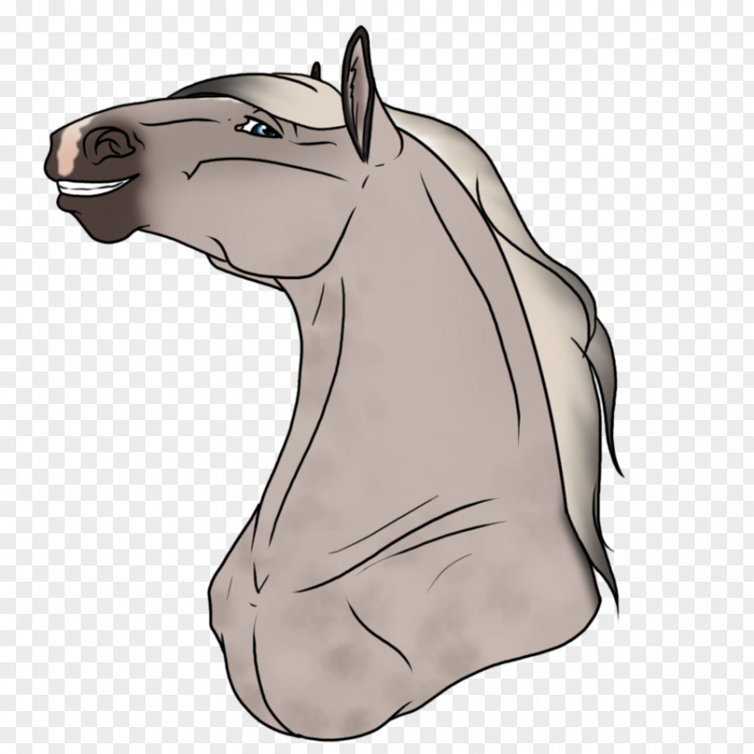 Auras Graphic Mule Mustang Donkey Stallion Mane PNG