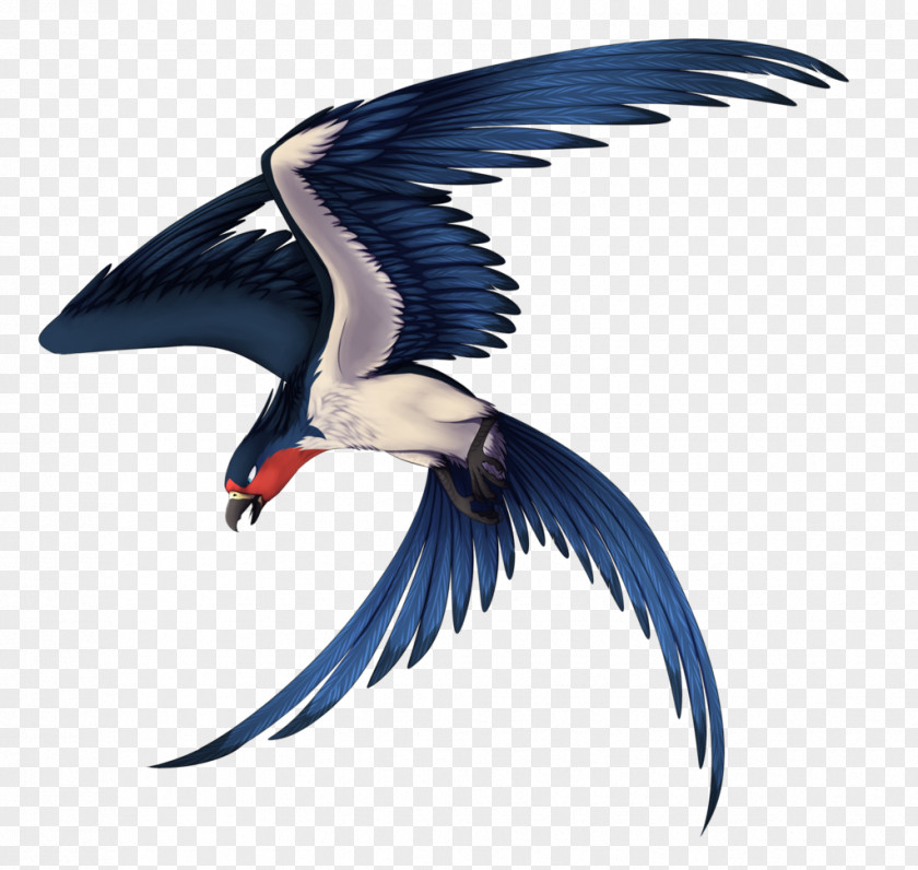 Bird Phoenix Parrot Beak Simurgh PNG