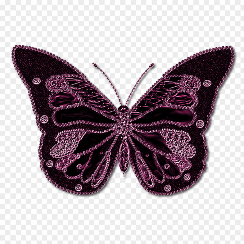 Butterfly Image Neon Light Color Wallpaper PNG