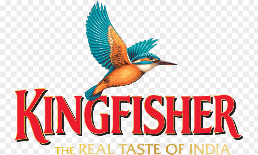 Kingfisher Beer In India United Breweries Group Logo PNG