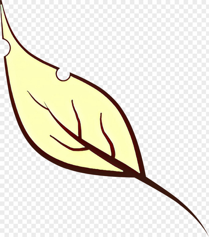 Leaf Plant PNG