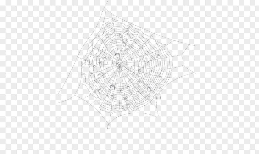 Spider Web Line Pattern PNG