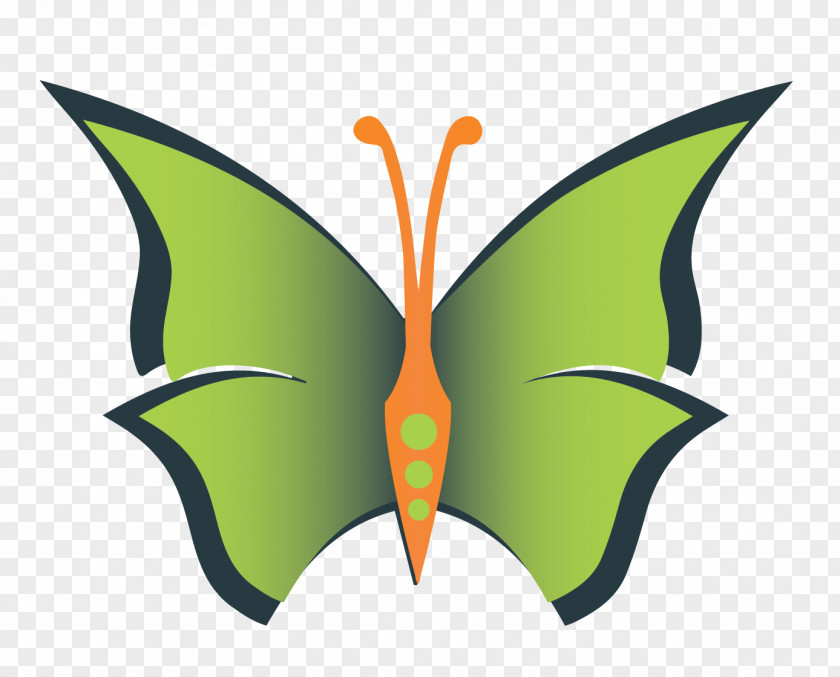 Butterfly Character Symmetry Clip Art PNG